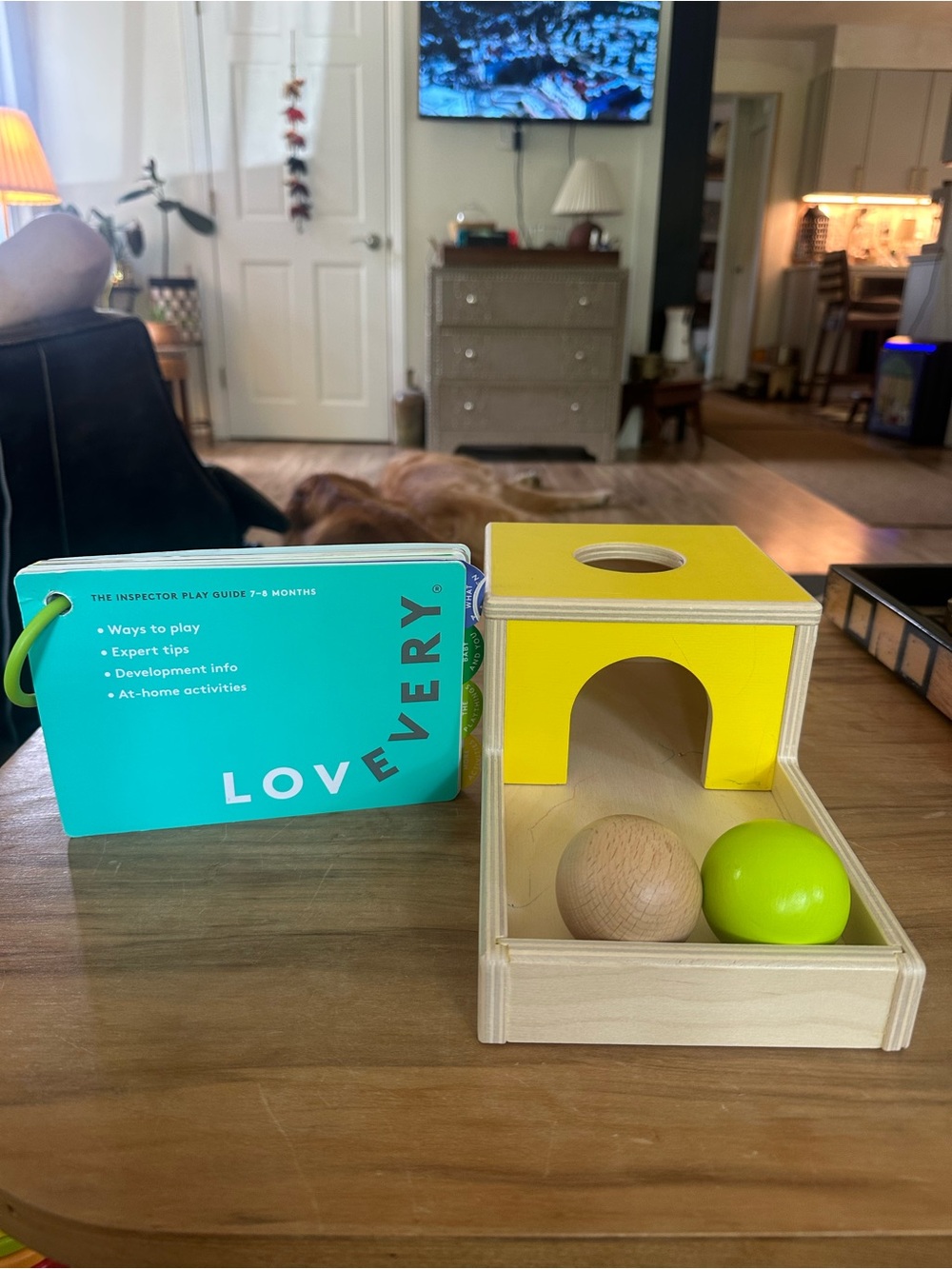 Lovevery Wooden Ball Drop Toy/balls  7-8 month Guide used